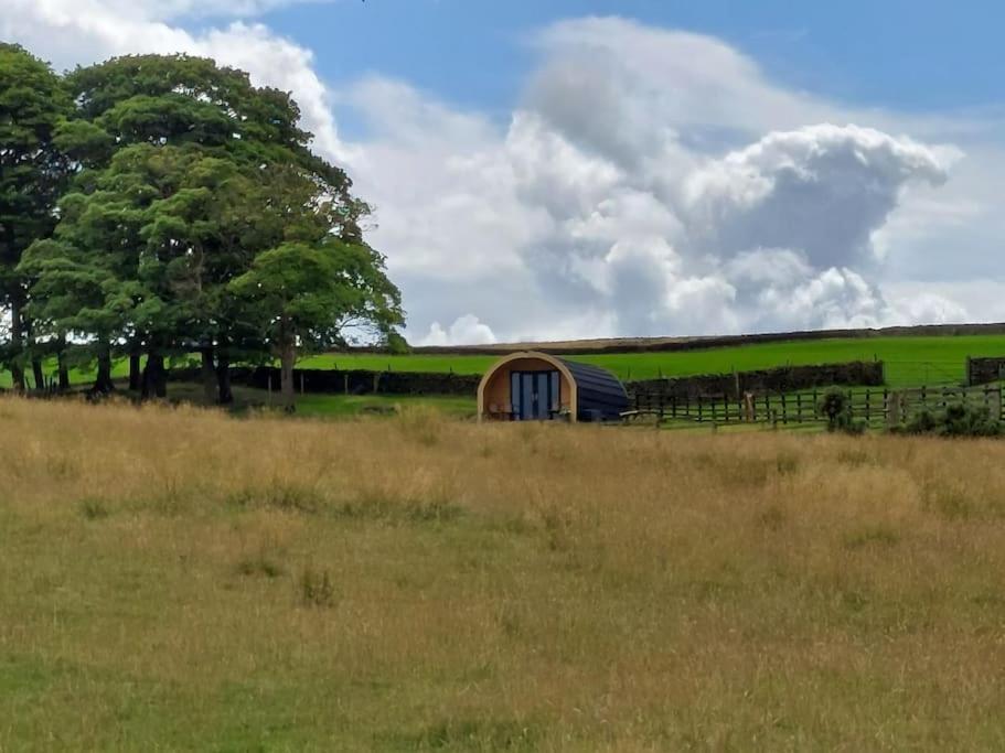 High Whashton Springs Glamping Pod, Richmond Yorks Lejlighed Eksteriør billede